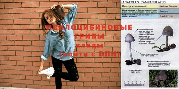 дмт Алексин