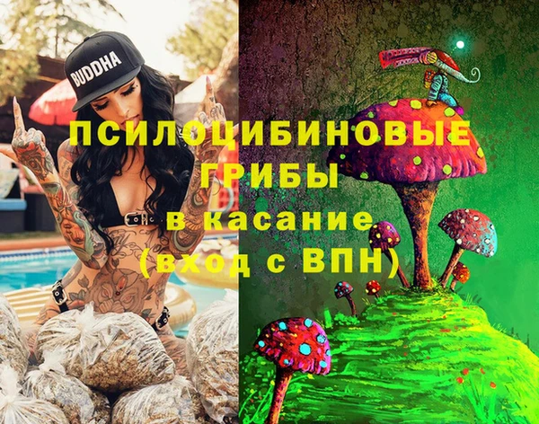 2c-b Алексеевка