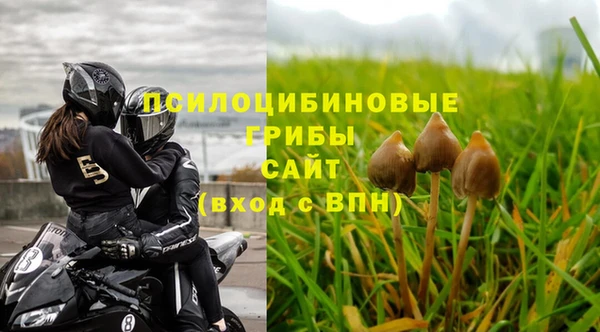 дмт Алексин