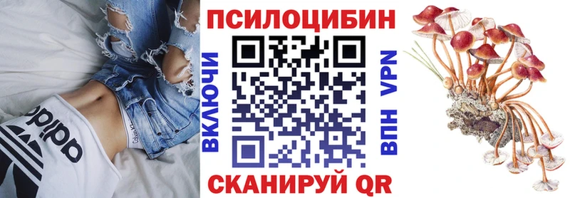 Галлюциногенные грибы MAGIC MUSHROOMS  Люберцы 